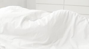 Sensual Tease Turns Into Hardcore Action's Cam show and profile