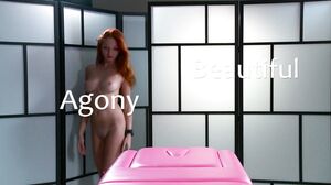 Teen Toy Play: A Red Fox's Beautiful Agony