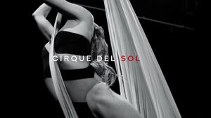 Circus Of Passion: Aiden And Jewelz'S Sensual Acrobatics's Cam show and profile