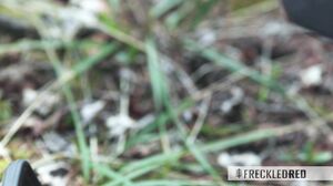 Fiery Redhead's Passionate Outdoor Encounter Caught on Camera