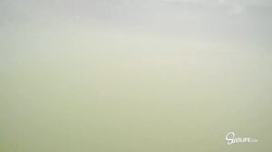 Explosive Outdoor Foursome with Deepthroat Blowjobs and Steamy Cum Swap