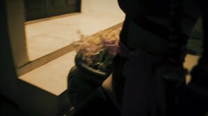 Ninja Lulu Chu's Sneaky Blowjob and Hardcore Fuck