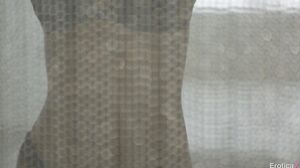 Asian Temptress Alina Li's Eternal Passion Blowjob Ecstasy