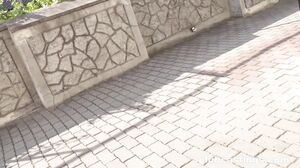 Wet Pixie MILF Goes Wild in Hardcore Blowjob Session